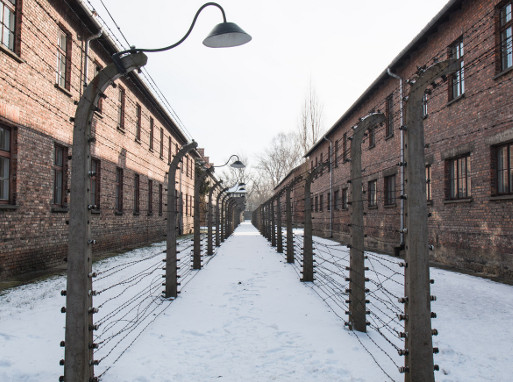 Auschwitz-Birkenau